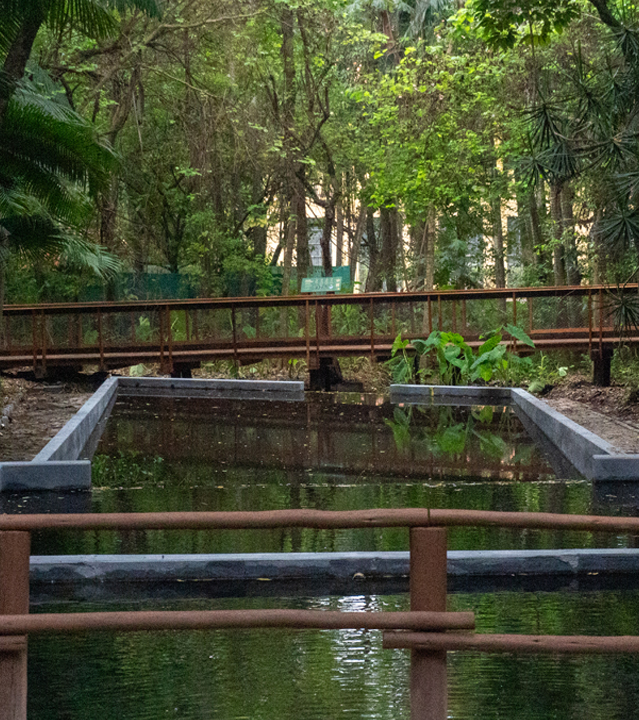 Parque da Água Branca