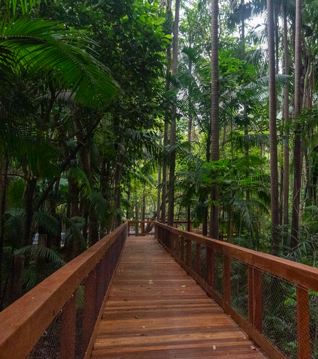 Parque da Água Branca