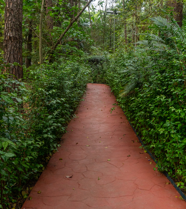 Parque da Água Branca