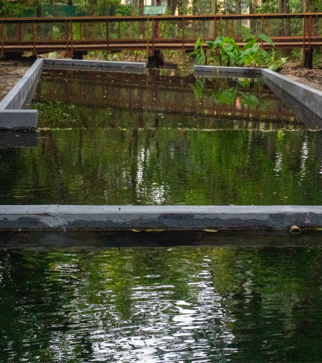Parque da Água Branca
