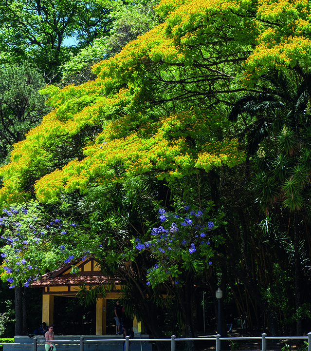 Parque da Água Branca